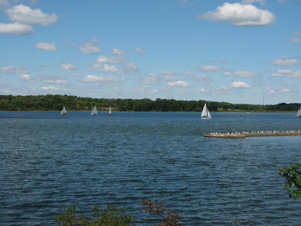 Chippewa Lake Homes for Sale Lakefront Living Real Estate